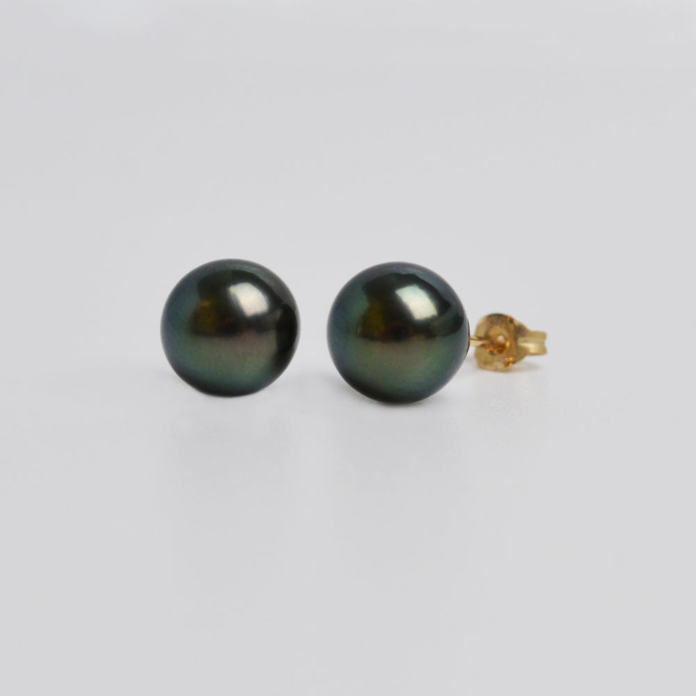 Tahitian Pearl Studs in 9ct Gold